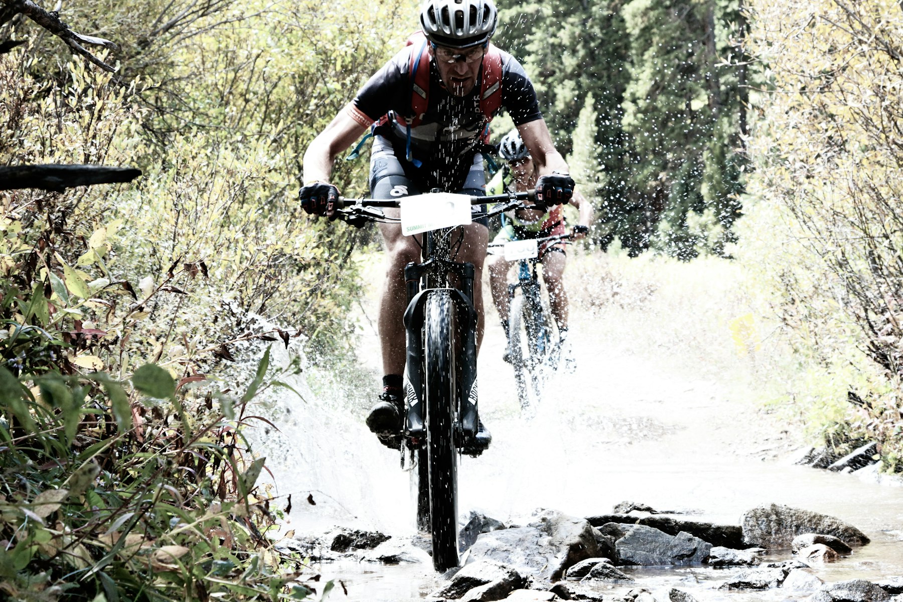 VTT en forêt